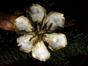 Christrose aus Fichtenzapfen